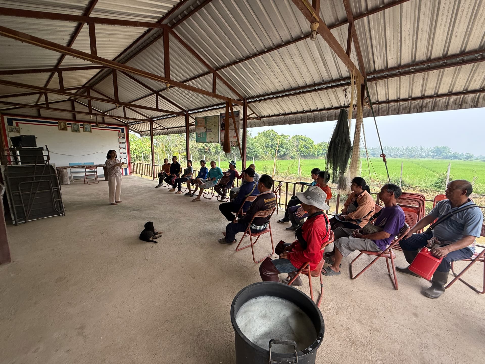 Farmer group meeting with rice fields in Fang, Thailand
