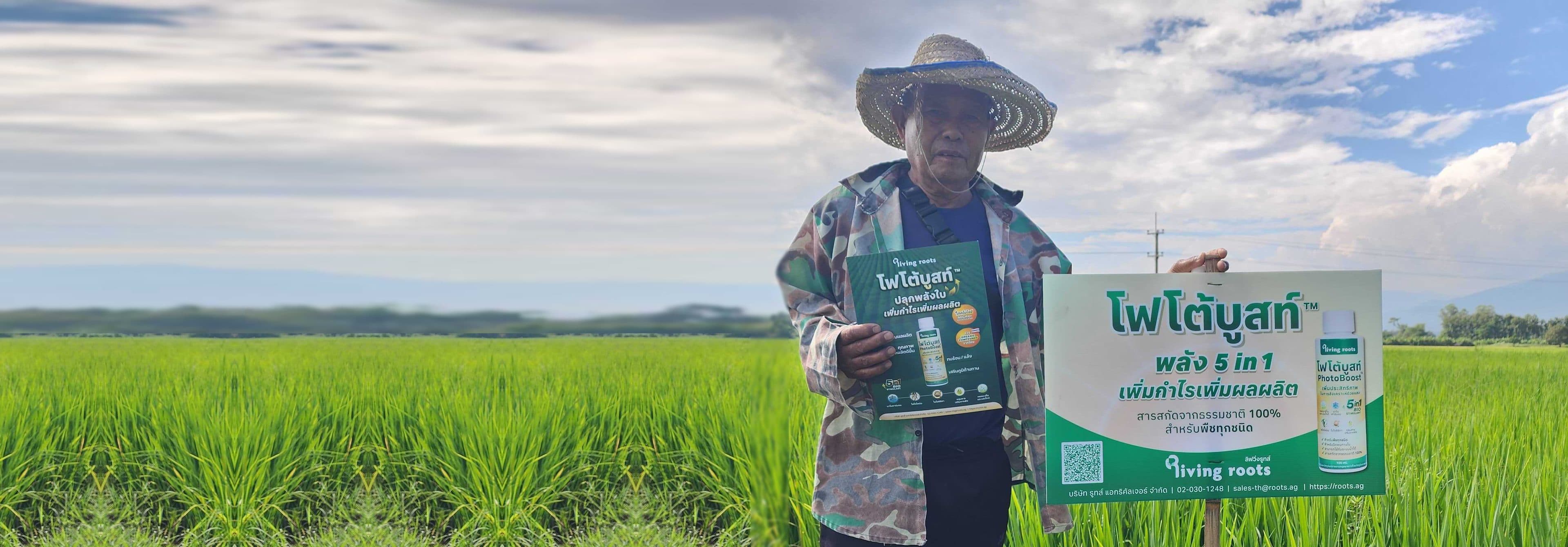 A farmer beside a PhotoBoost demo plot sign in his rice field